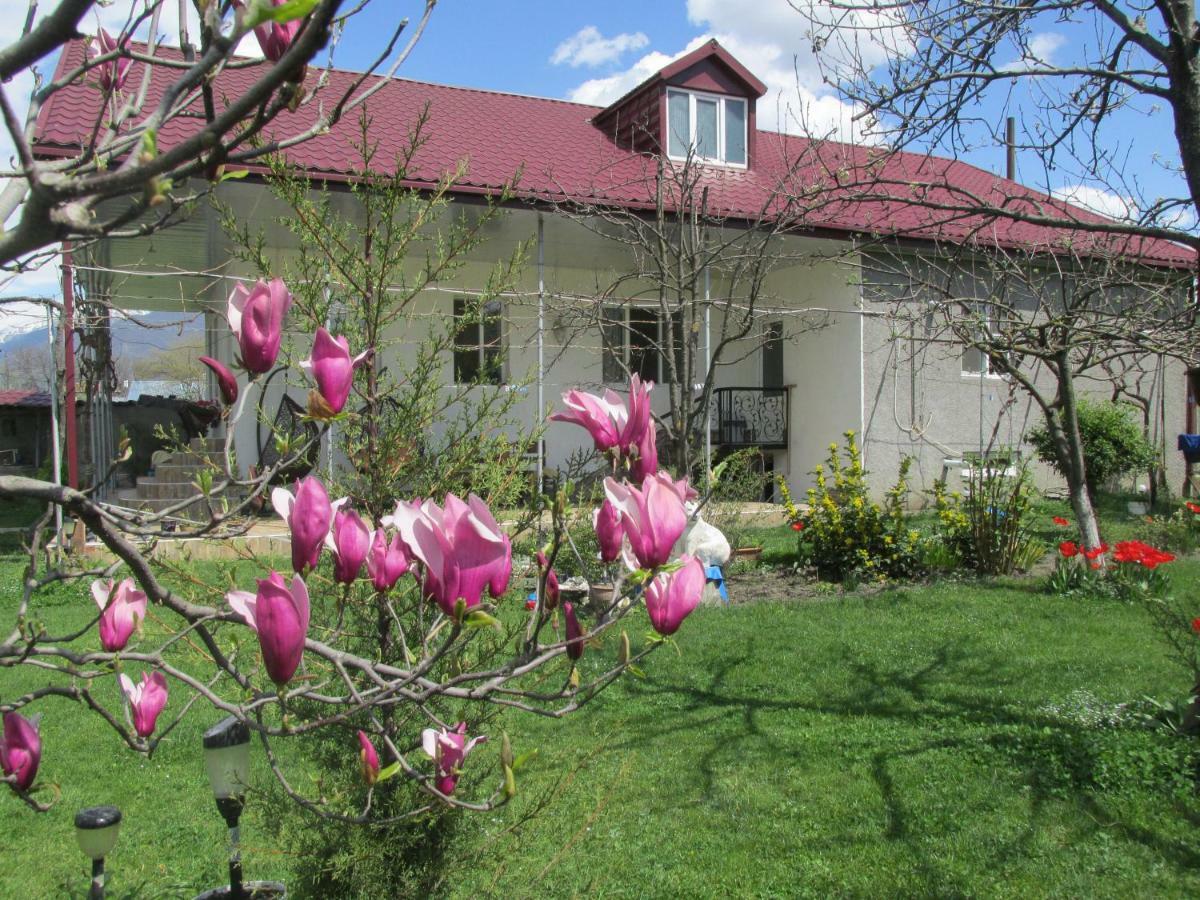 Guest House Melissa Duisi Екстериор снимка